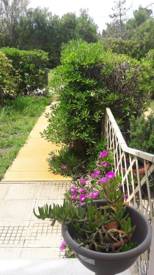 Sea Beach Relax Tirrenia Luaran gambar